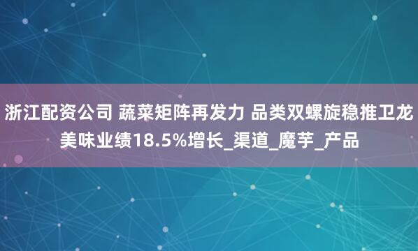 浙江配资公司 蔬菜矩阵再发力 品类双螺旋稳推卫龙美味业绩18.5%增长_渠道_魔芋_产品