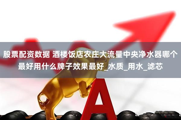股票配资数据 酒楼饭店农庄大流量中央净水器哪个最好用什么牌子效果最好_水质_用水_滤芯