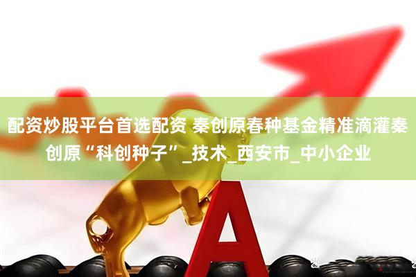配资炒股平台首选配资 秦创原春种基金精准滴灌秦创原“科创种子”_技术_西安市_中小企业